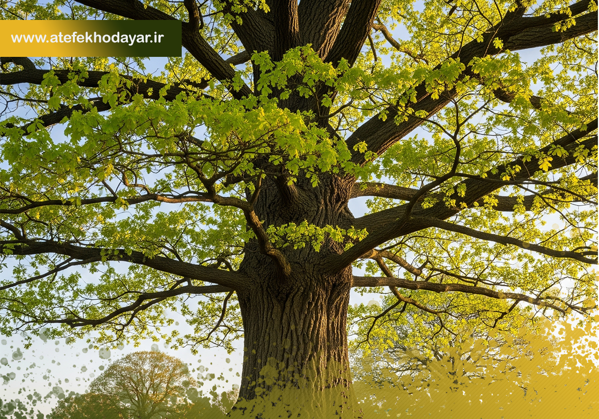 درختی تنومند در حال رشد