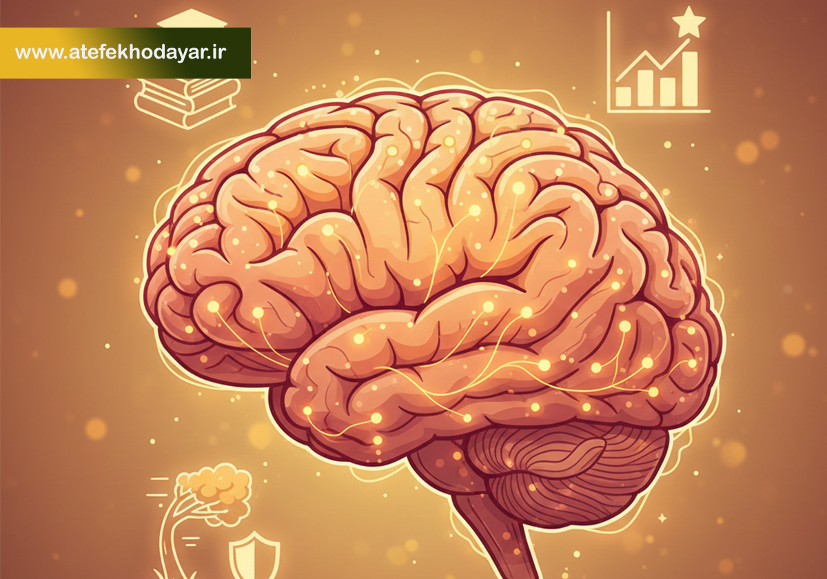 مغز زن با مسیرهای عصبی رشد یافته، نماد افزایش اعتمادبهنفس